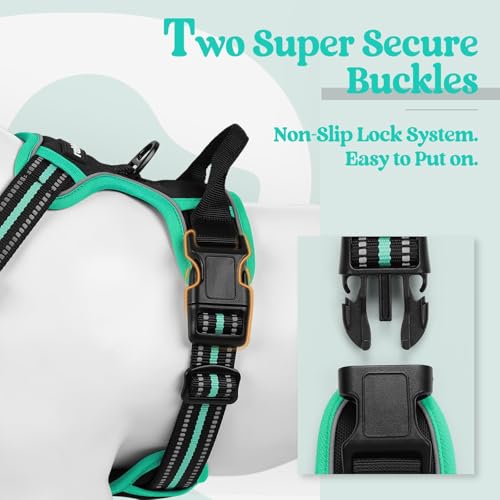 Dog Harness No Pull Medium Sized with 2 Leash Clips (Medium / Black & Turquoise)