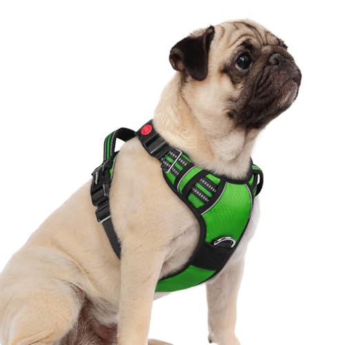 Dog Harness Small Sized (Green / Small)