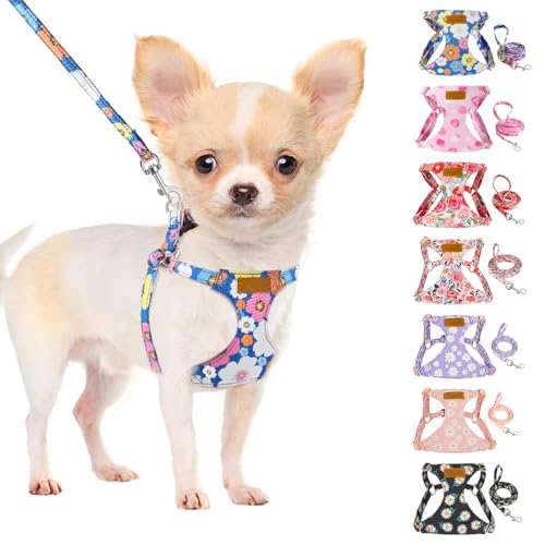 No Pull Dog Harness with Leash for Small Medium Dogs Bule XS (X-Small(6-11lb) / Blue Flower)