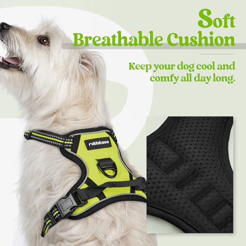 Dog Harness No Pull with 2 Leash Clips (X-Small / Wild Lime)