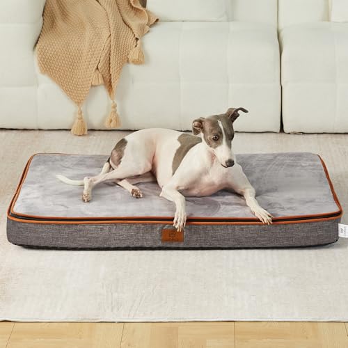 Memory Foam Large Dog Bed (35.0"L x 23.0"W x 4.0"Th / Light Grey)