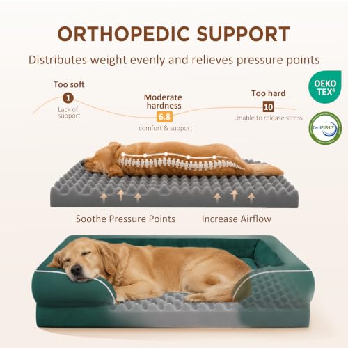 Waterproof Orthopedic Dog Beds for Large Sized Dog (36.0"L x 27.0"W x 8.0"Th / Emerald)
