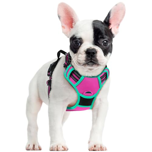 Dog Harness No Pull for Small Dogs with 2 Leash Clips (Small / Hot Pink & Turquoise)