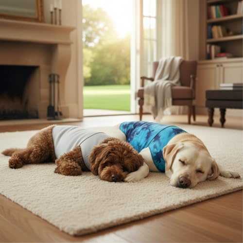 Dog & Cat Surgery Recovery Suit and Anxiety Wrap (S / Gray)