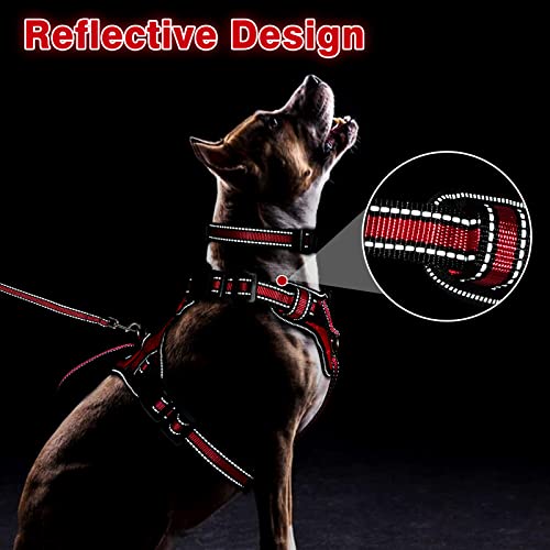Pet Harness Collar and Leash Set (Medium / Red)