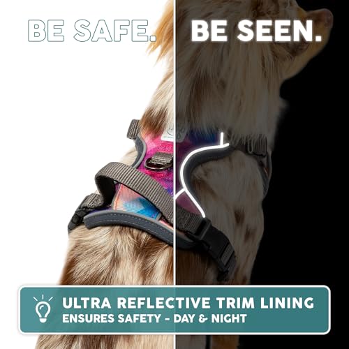 Embark No Pull Dog Harness (M / Maverick)