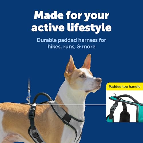 EasySport Dog Harness (Medium / Charcoal)