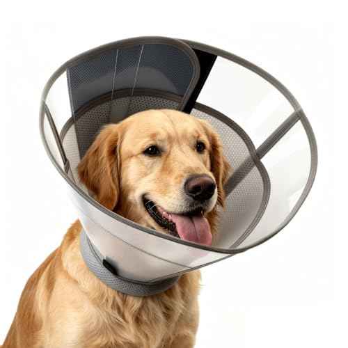 Dog Cone to Stop Licking (M (Neck: 13.4-15.2") / Grey)