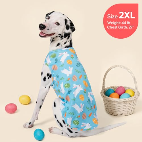 2Pack Easter Dog Shirt (XX-Large (40-55lbs) / 8# Easter)