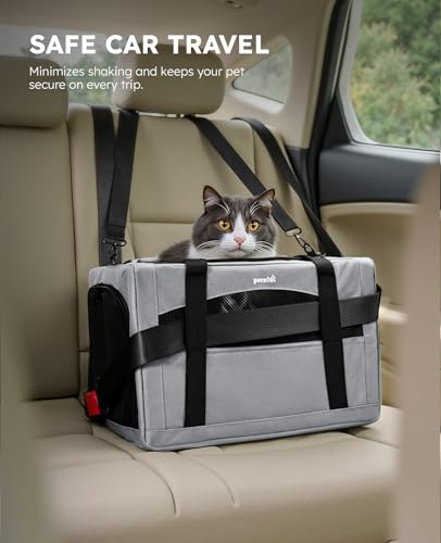 Cat Carrier Stable (Gray Regular / 16.9"L x 11.0"W x 11.0"H)
