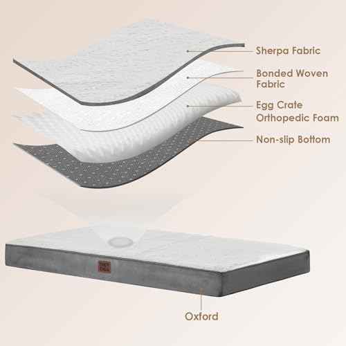 Orthopedic Dog Beds (30*20*3.5 inches / Beige)