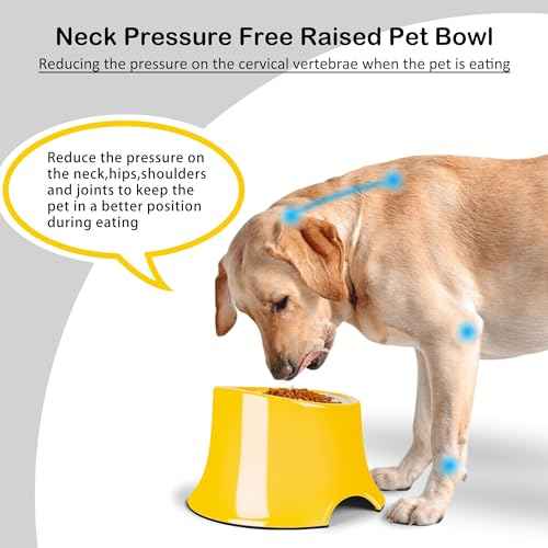 Non Slip Elevated Dog Bowl (L/3 Cup / Yellow)