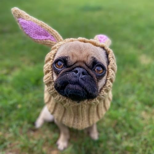 Jack Rabbit Costume (Small)