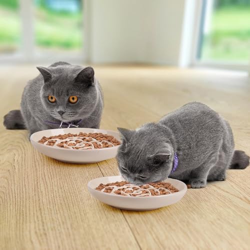 Slow Feeder Cat Bowl Set of 2 (apricot)