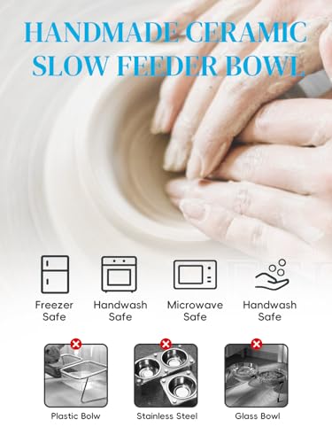 Ceramic Slow Feeder Cat Bowl (Blue)