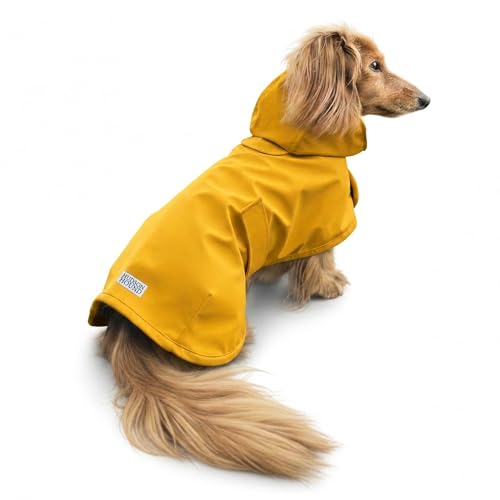 Dachshund Raincoat (Medium)