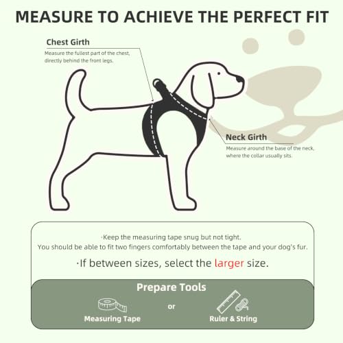 Dog Harness Collar and Leash Set No Pull for Small Medium Sized (Yellow Green / L (CHEST 18"-20"))