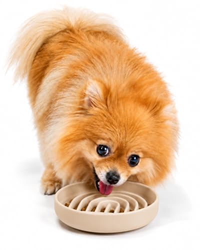 Slow Feeder Dog Bowl (Tan - Rainbow Design / Small (6” Across x 1.25” Tall))