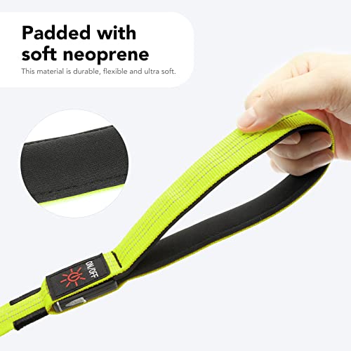 Light Up Dog Leash (Green & Reflective Wires / 4FT)