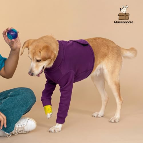 Recovery Sleeve for Dogs Front Leg (X-Small / Purple)