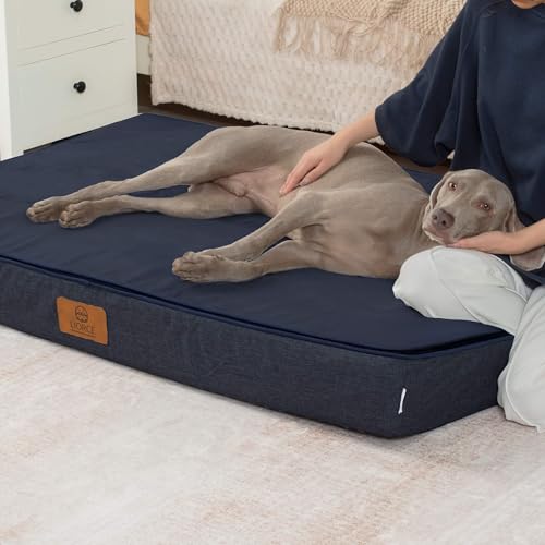 Orthopedic Memory Foam Giant Dog Bed (53.0"L x 36.0"W x 6.0"Th / Navy Blue)