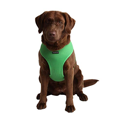 Soft Dog Harness No Choke Over (Green / Large)