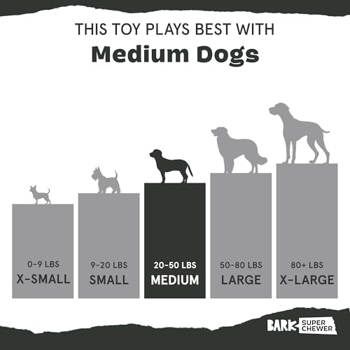 Pumpkin Prodigy Dog Toy (Medium / Pumpkin Prodigy)