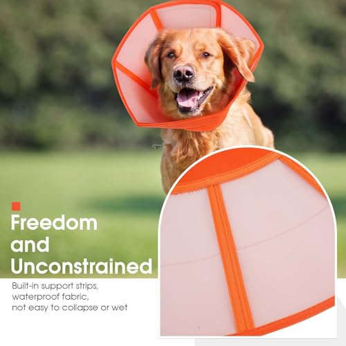 Dog Cone Waterproof Pet Recovery Collar Anti Lick (Orange / Small)
