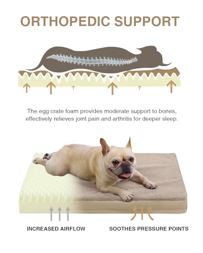 Orthopedic Dog Bed for Medium Dogs with Waterproof Lining (Khaki / 29.0"L x 18.0"W x 3.0"Th)