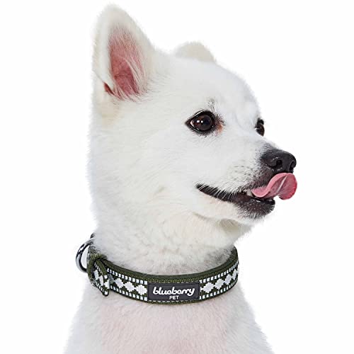 Reflective Jacquard Dog Collar with Neoprene Padding & Metal Buckle (Medium / Metal Buckle-Olive)