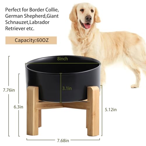 Black Elevated (Black / 7.6 CUPS - Medium Large Dog Bowls)