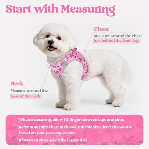 Dog Harness Medium Sized and Leash Set (Pink Floral / M (chest: 16 - 18.5"))