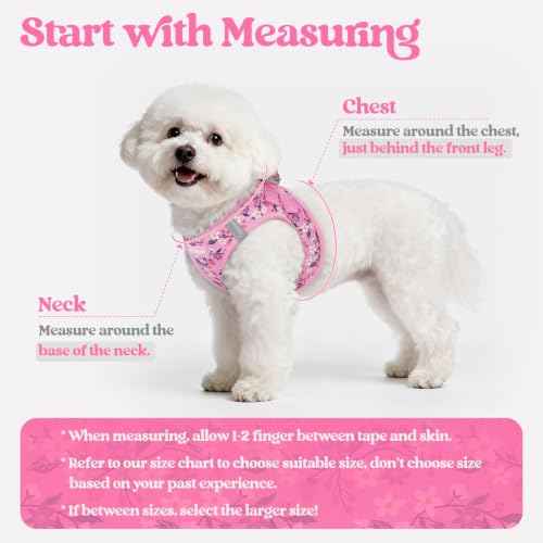 Dog Harness Small Sized and Leash Set (Pink Floral / Xs (chest: 13.3 - 15.5"))