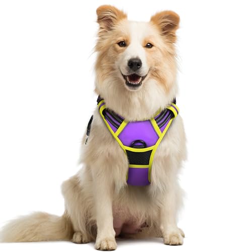 Dog Harness No Pull Medium Sized with 2 Leash Clips (Medium / Purple & Yellow)