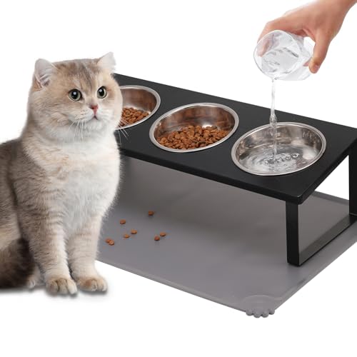 Upgraded Elevated Cat Bowls with Food Mat
