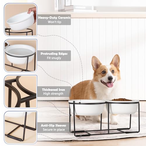 Ceramic Elevated Dog Bowl Set (Matte White / L × 2)