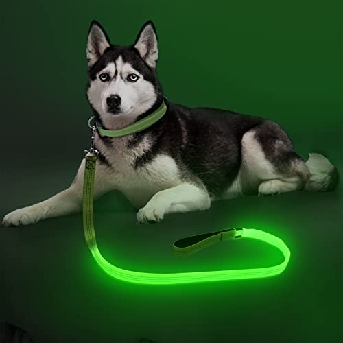 Light Up Dog Leash (Green & Reflective Wires / 4FT)