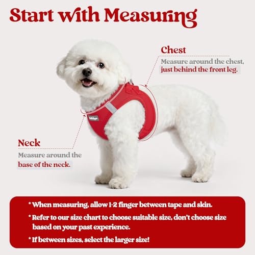 Dog Harness Medium Sized and Leash Set (Red / Xxl (chest: 21.6 - 23.7"))