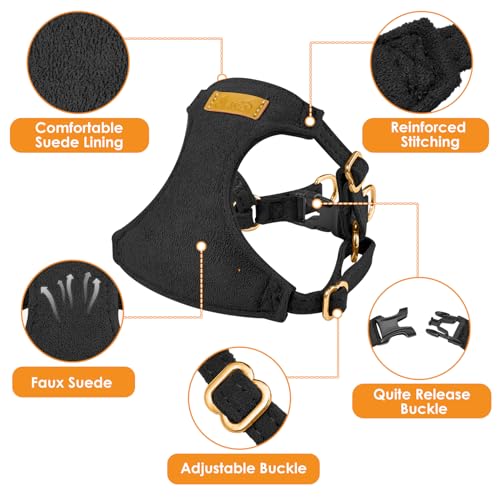 No Pull Dog Harness with Leash for Small Medium Dogs (XX-Small(2.2-6lb) / Solid Black)
