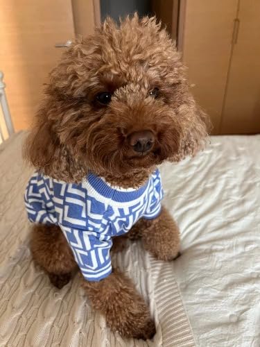 Dog Sweater for Small Dogs (Small)
