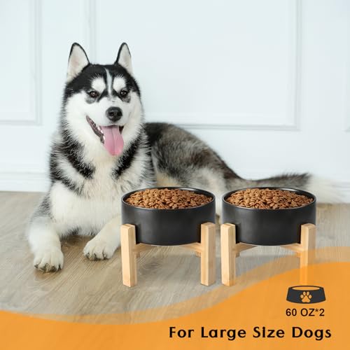Ceramic Elevated Dog Bowls 2 Pack (Large - 7.6 CUPS*2 / Black)