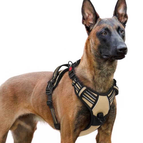 Dog Harness for Large (X-large / Beige)