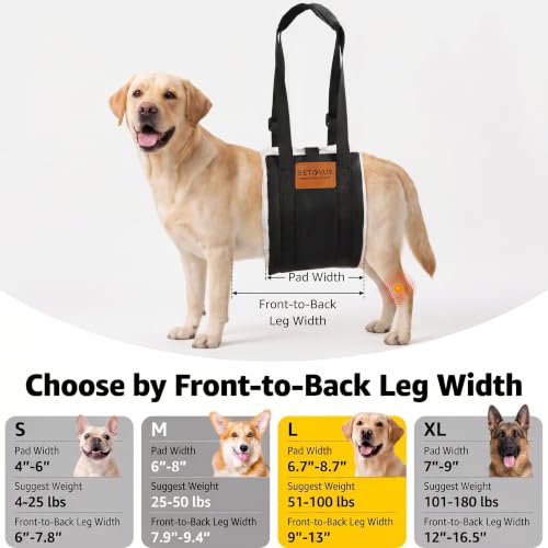 Adjustable Dog Lifting Harness (Black / Large)