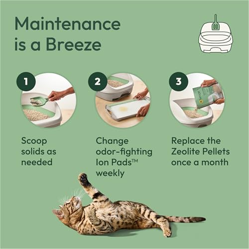 Breeze Cat Litter Box System Kit with Pellets & Pads (7.8 Pound (Pack of 1) / Green)