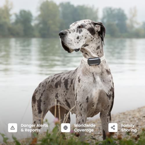 XL Smart Dog GPS Tracker (Black)