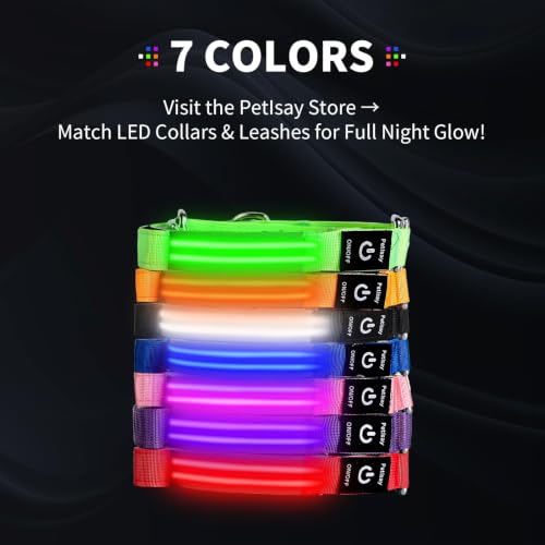 LED Dog Leash (Purple / 6 feet)