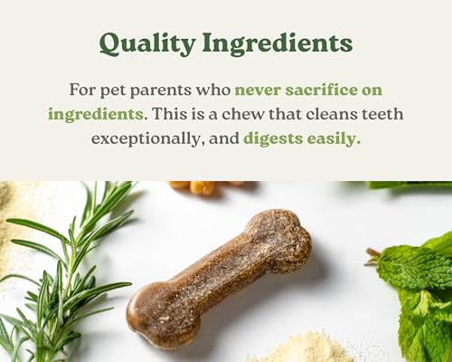 Earthbones Dental Chews for Dogs 10 (Small Dogs / 30 Count (Pack of 1))