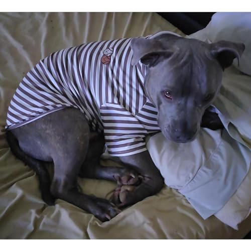 Turtleneck Dog Shirt Cute Doggie Embroidery Super Soft Dog Sweatshirt Stretchy Striped Puppy Pullover for Cats Small Medium Large Dogs (Black Striped / XXX-Large)