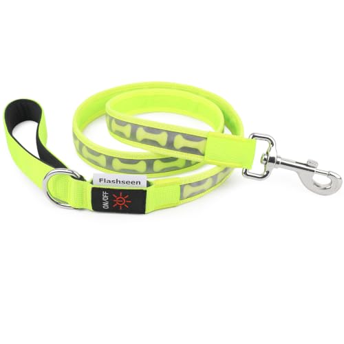Light Up Dog Leash (Green)