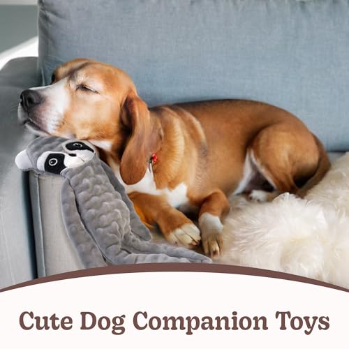 No Stuffing Dog Toys Squeaky for Large Dogs (For Small Breed / 1 Pack - Raccoon)